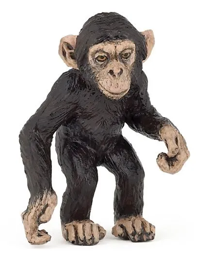 ŠIMPANZ MLÁDĚ
