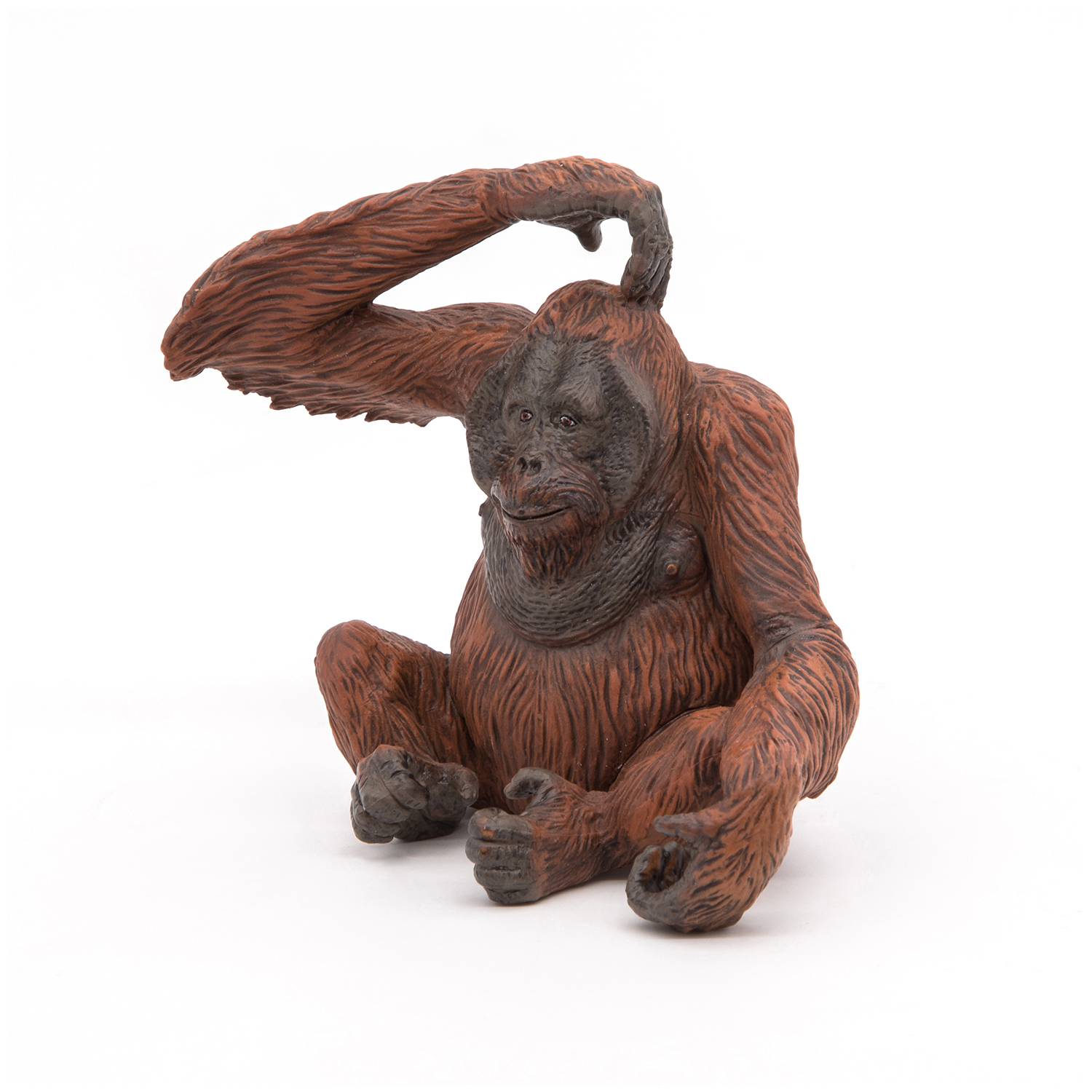 ORANGUTANG