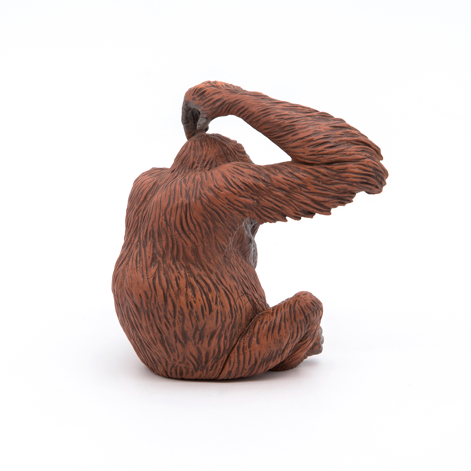 ORANGUTANG
