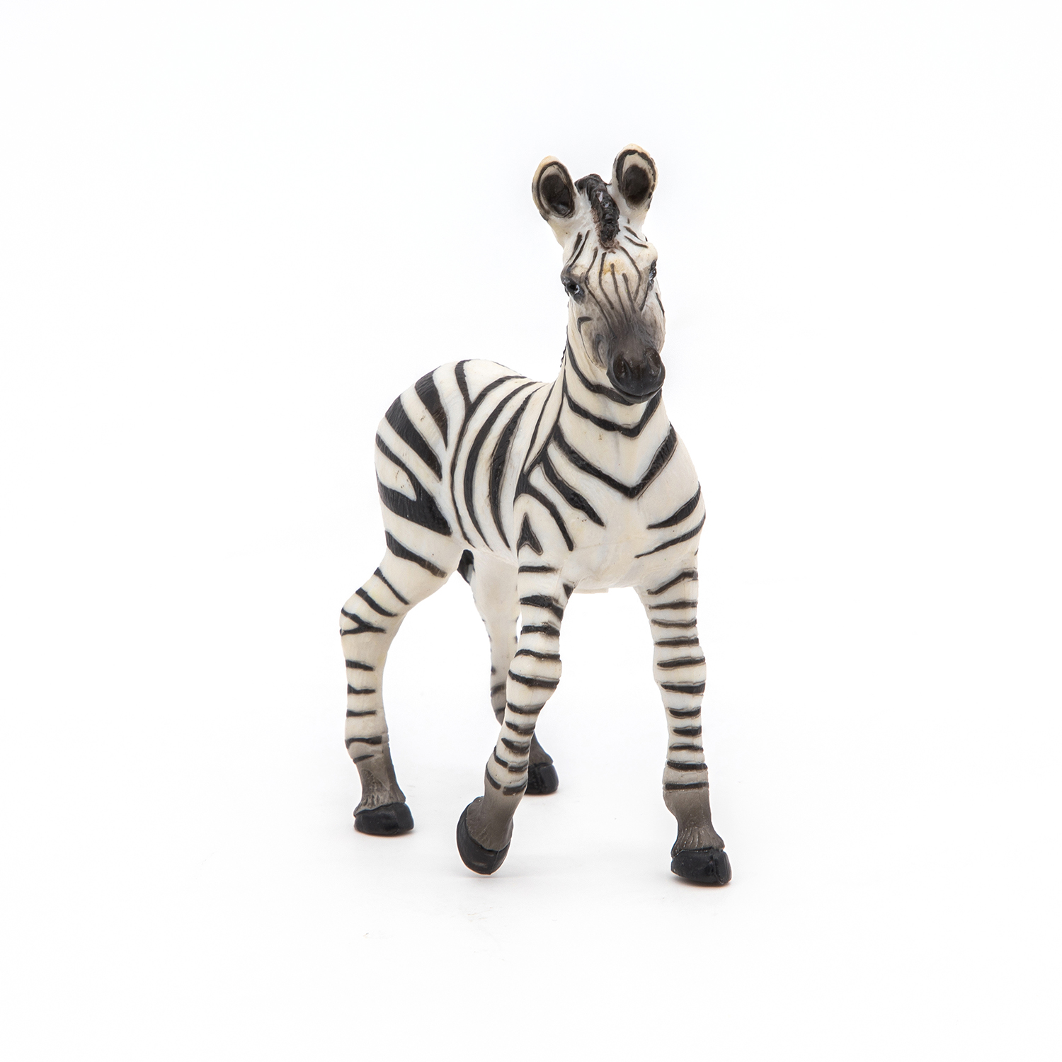 ZEBRA MLÁDĚ