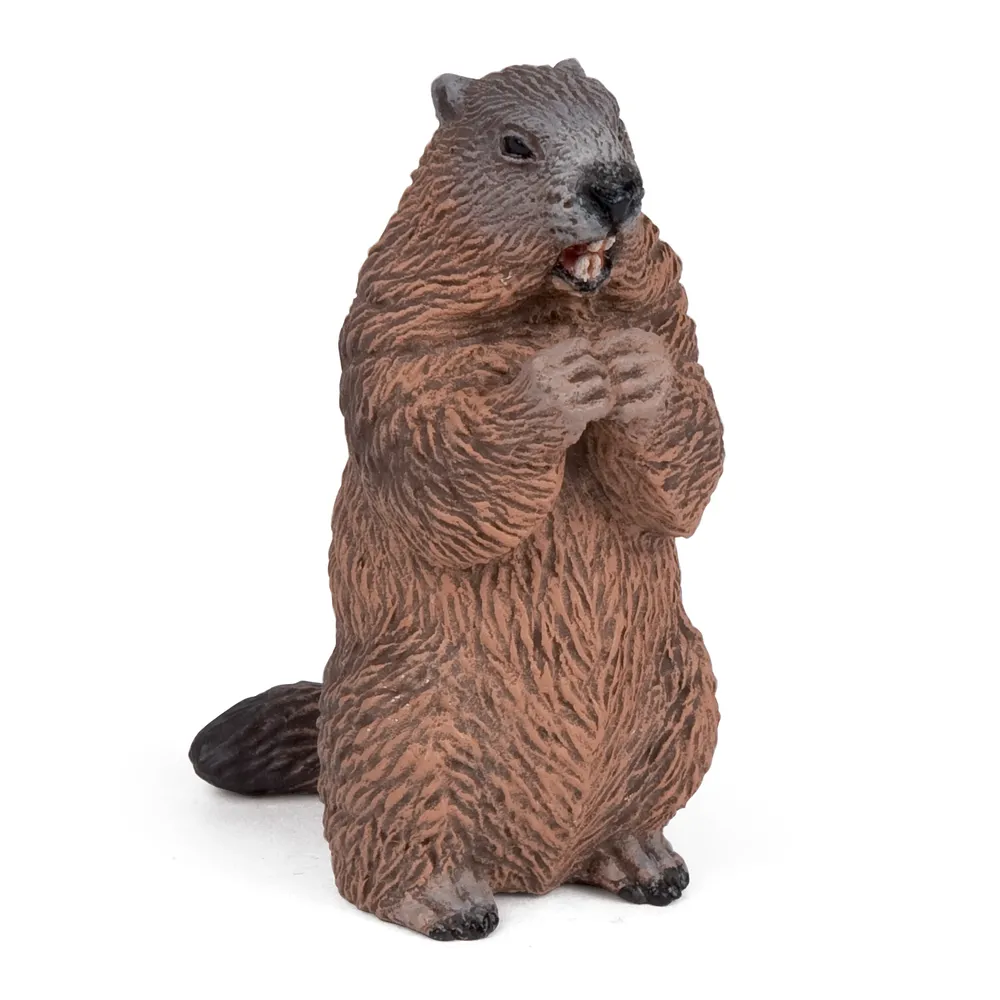 SVIŠŤ