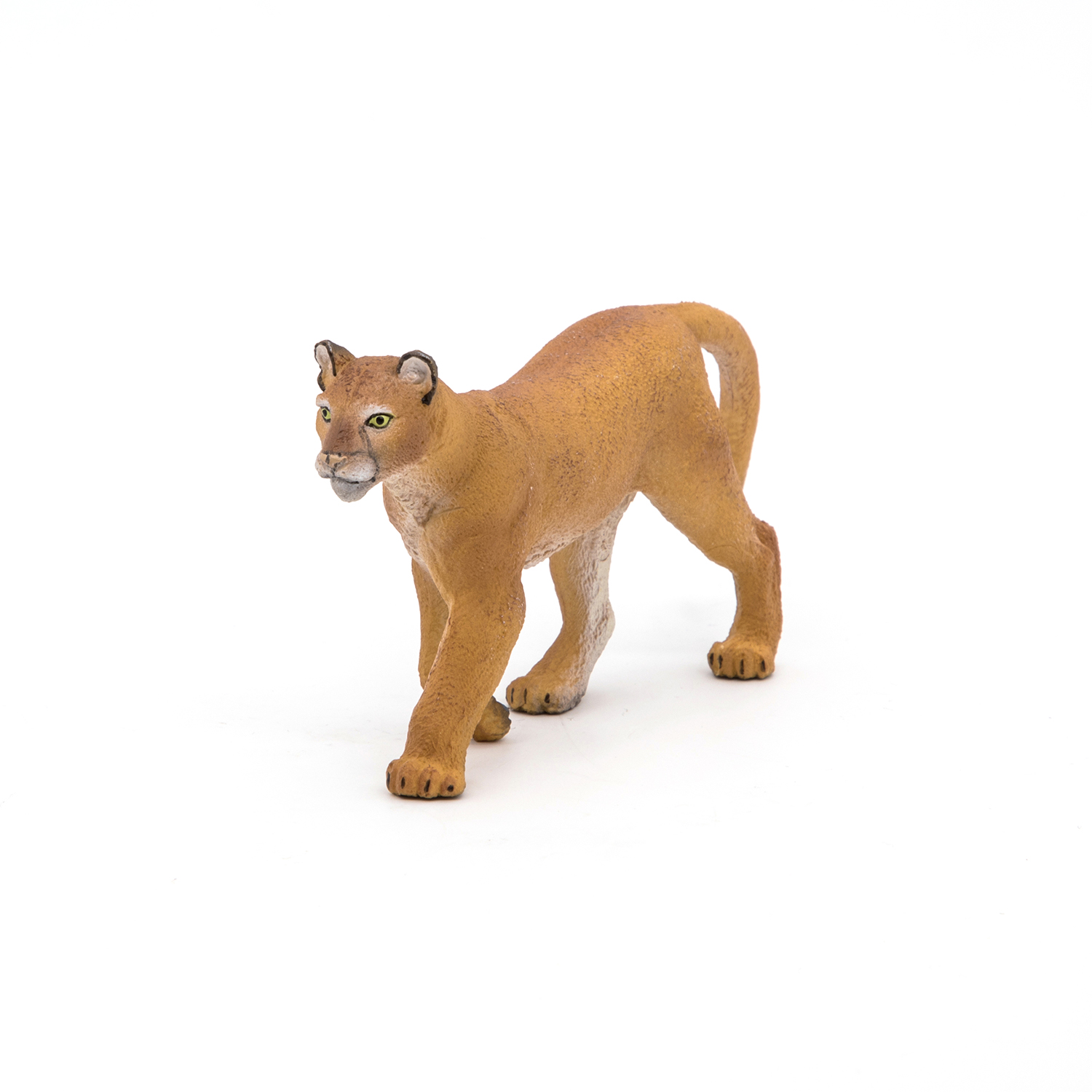 PUMA