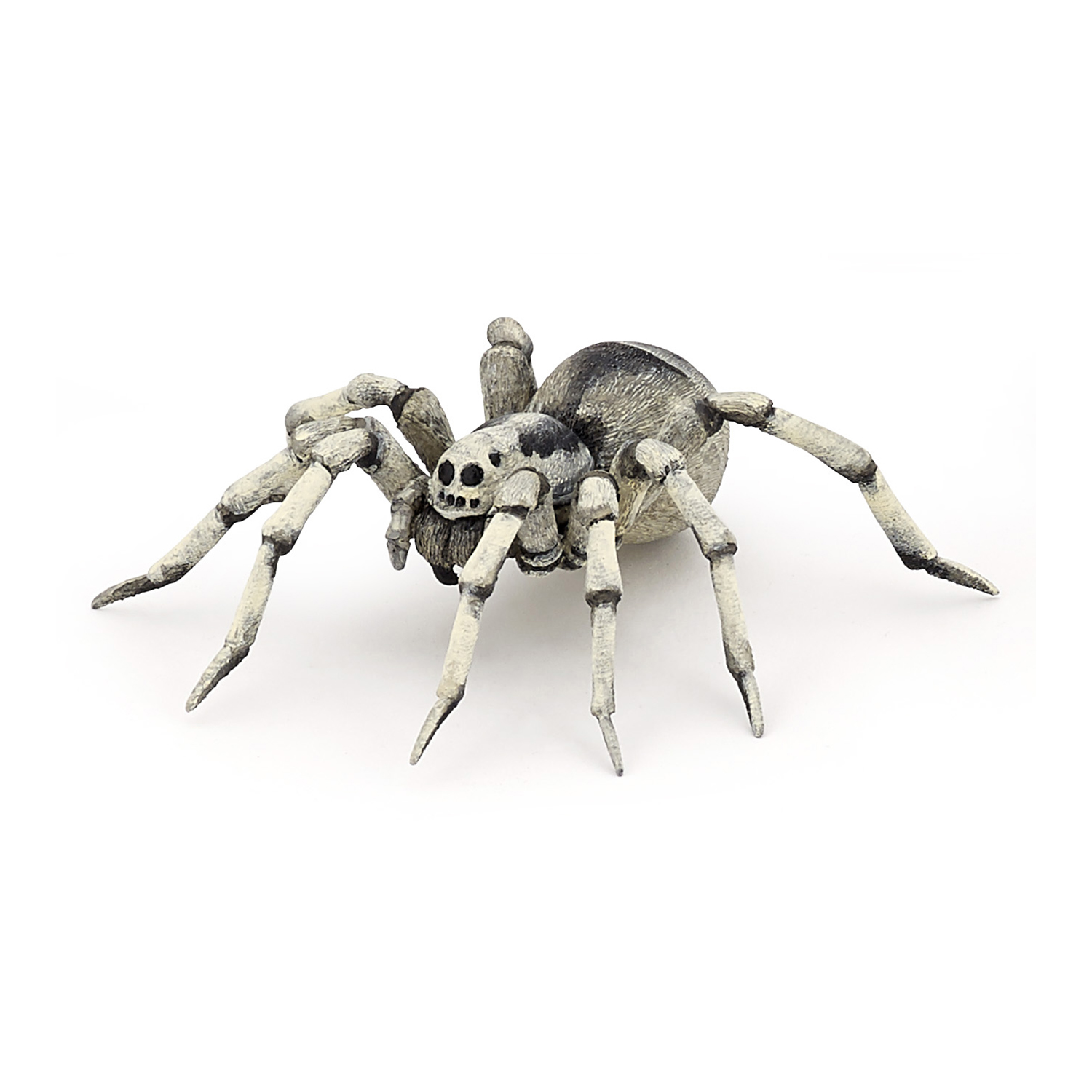 TARANTULE