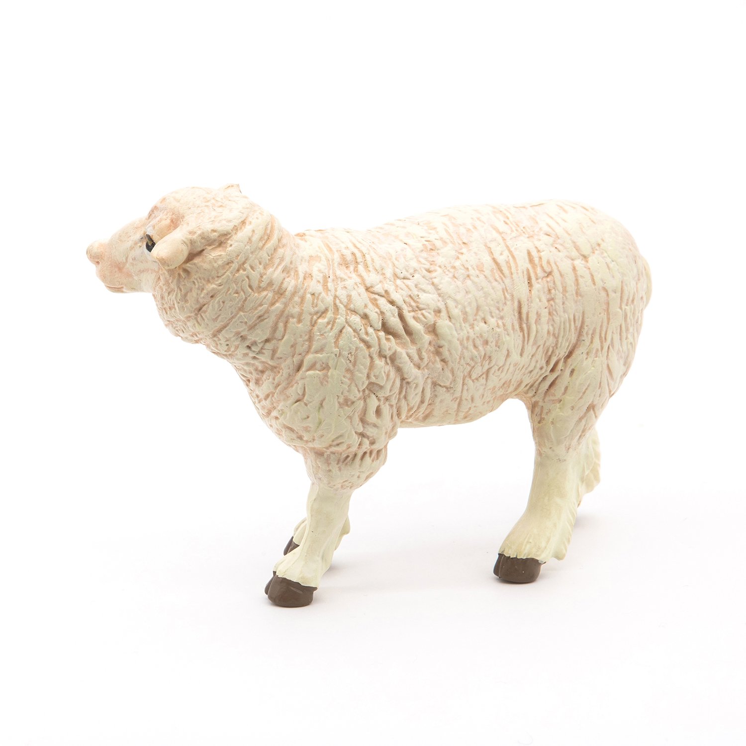 OVCE MERINOS