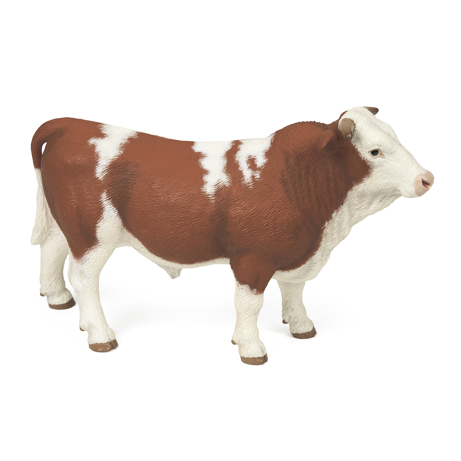 SIMMENTAL BÝK
