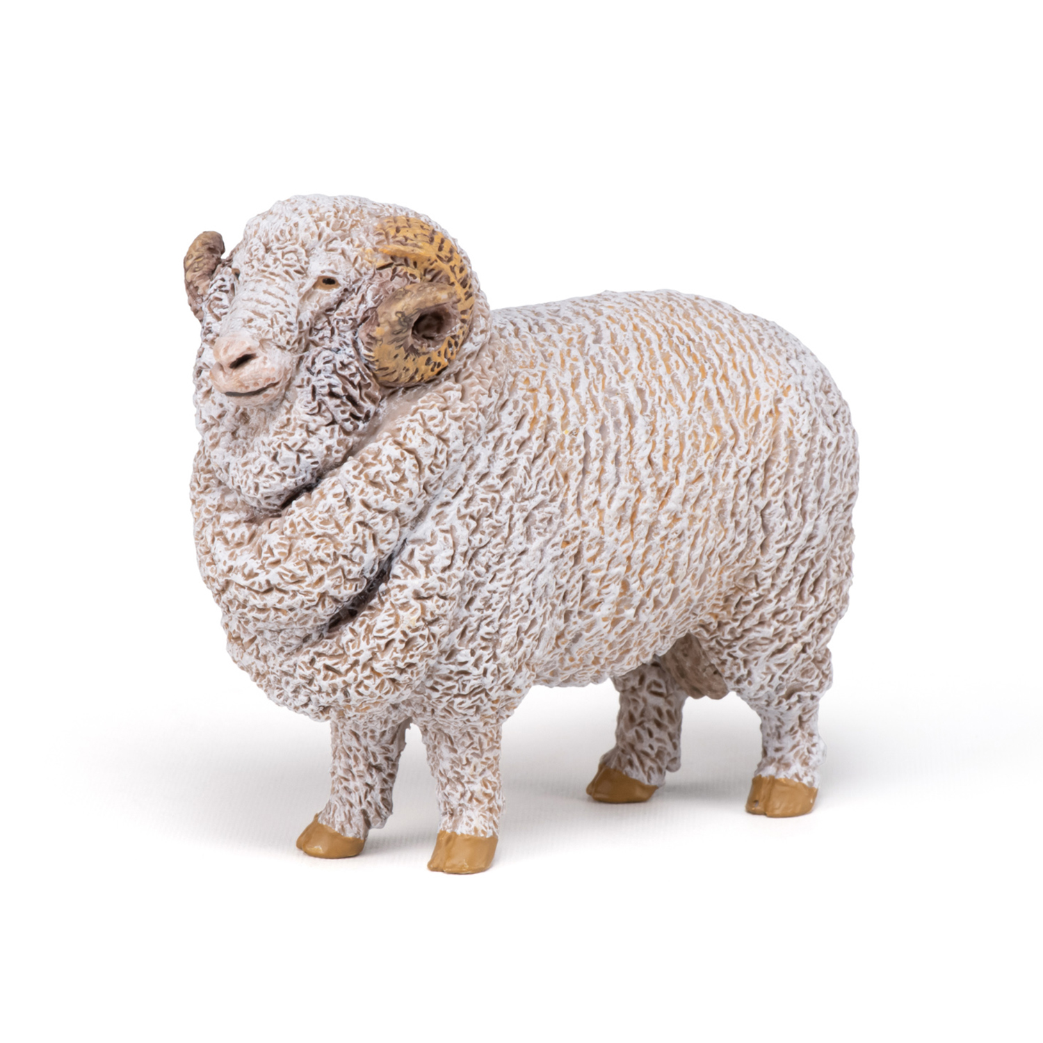 BERAN MERINO