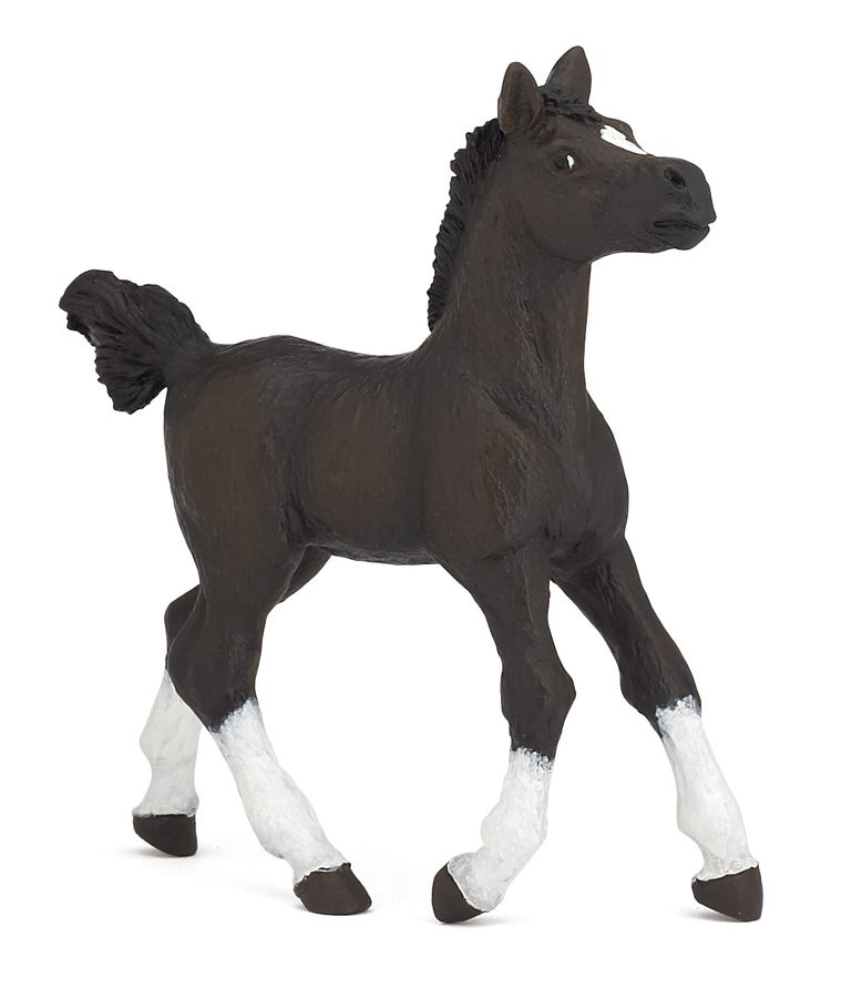 ARABSKÝ KŮŇ MLÁDĚ