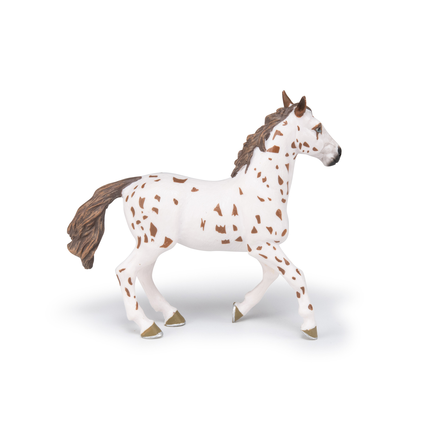 APALOOSA