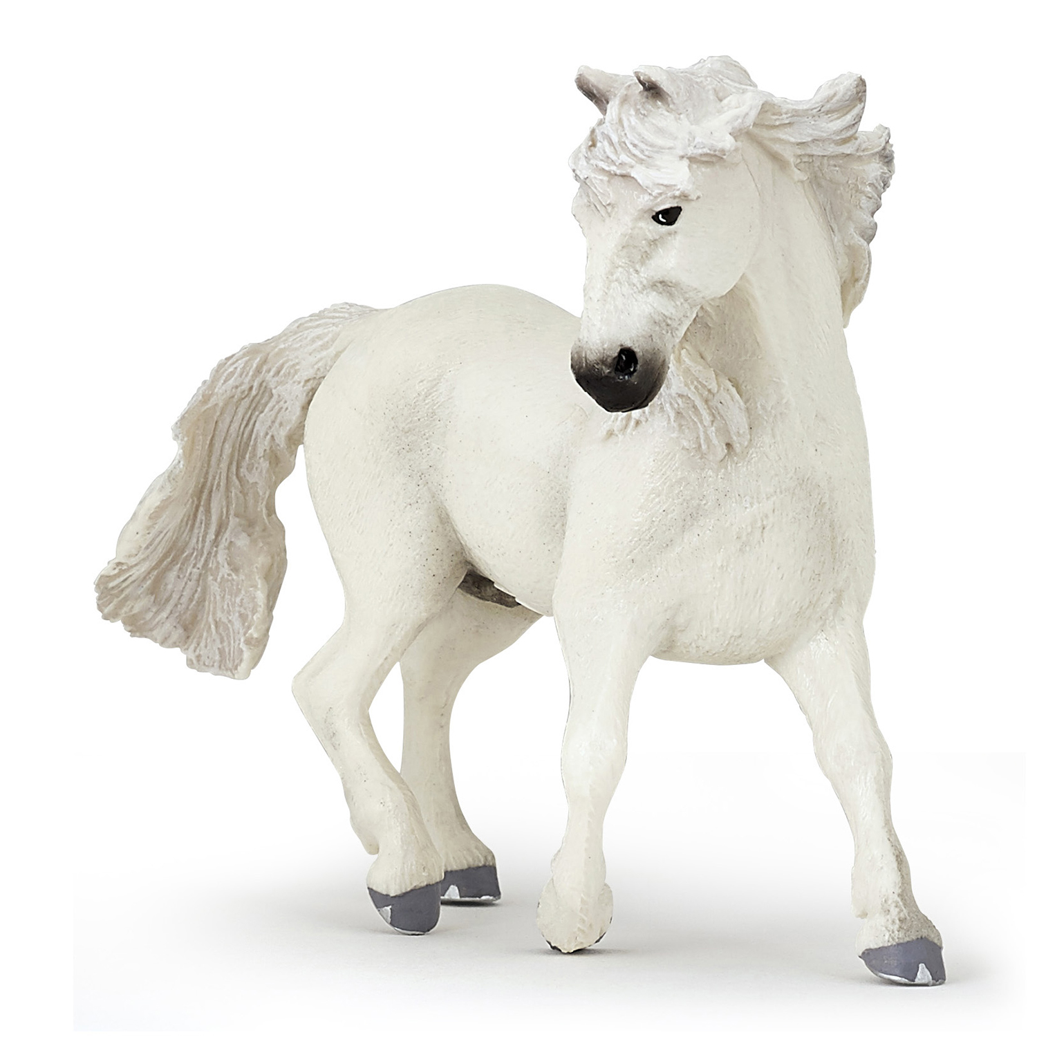 KŮŇ CAMARGUE