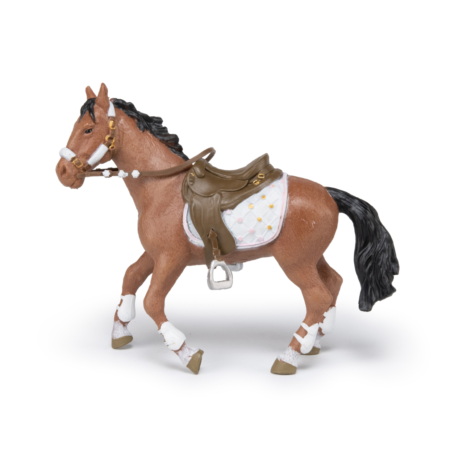 KŮŇ CAVALIER