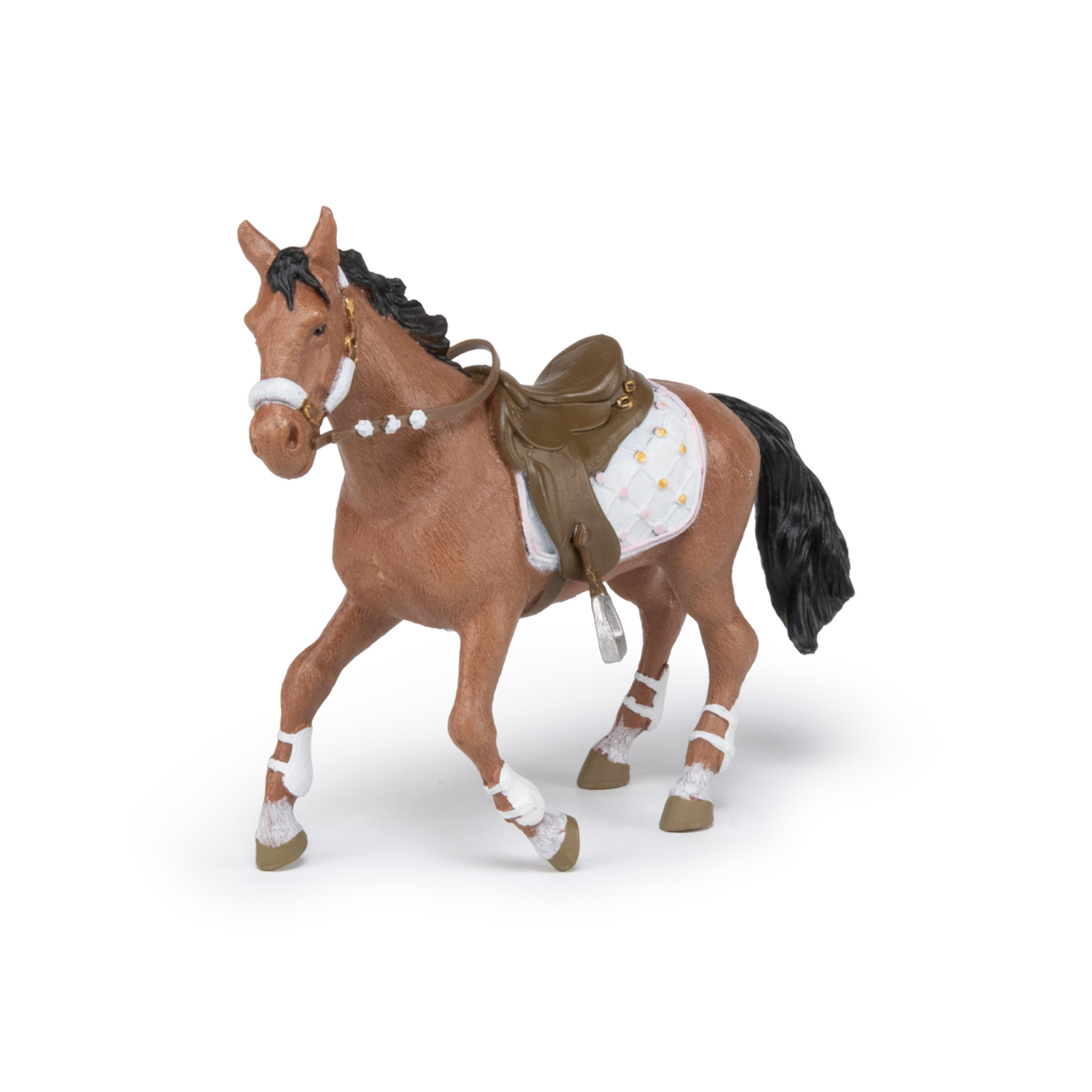 KŮŇ CAVALIER