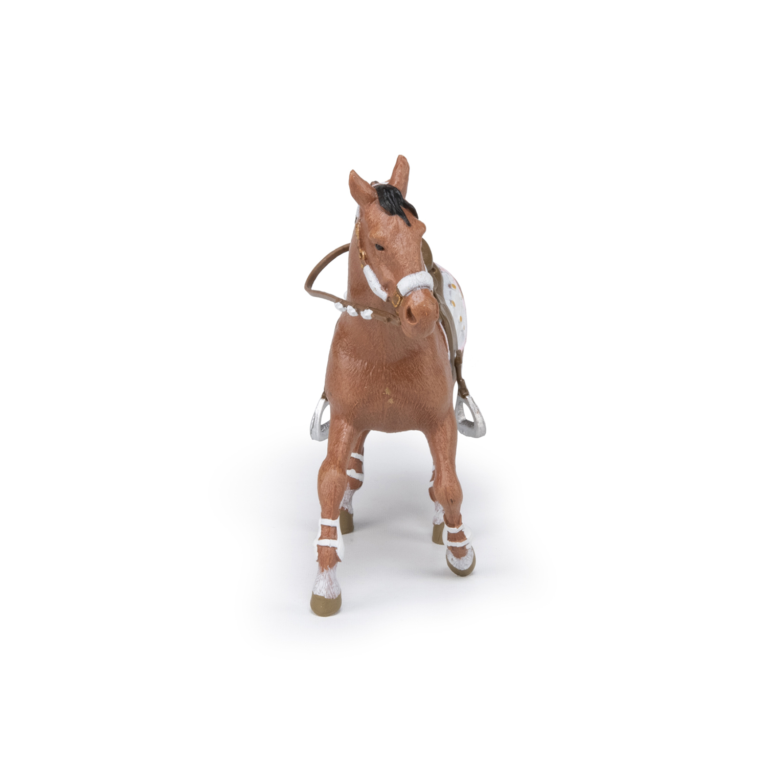 KŮŇ CAVALIER