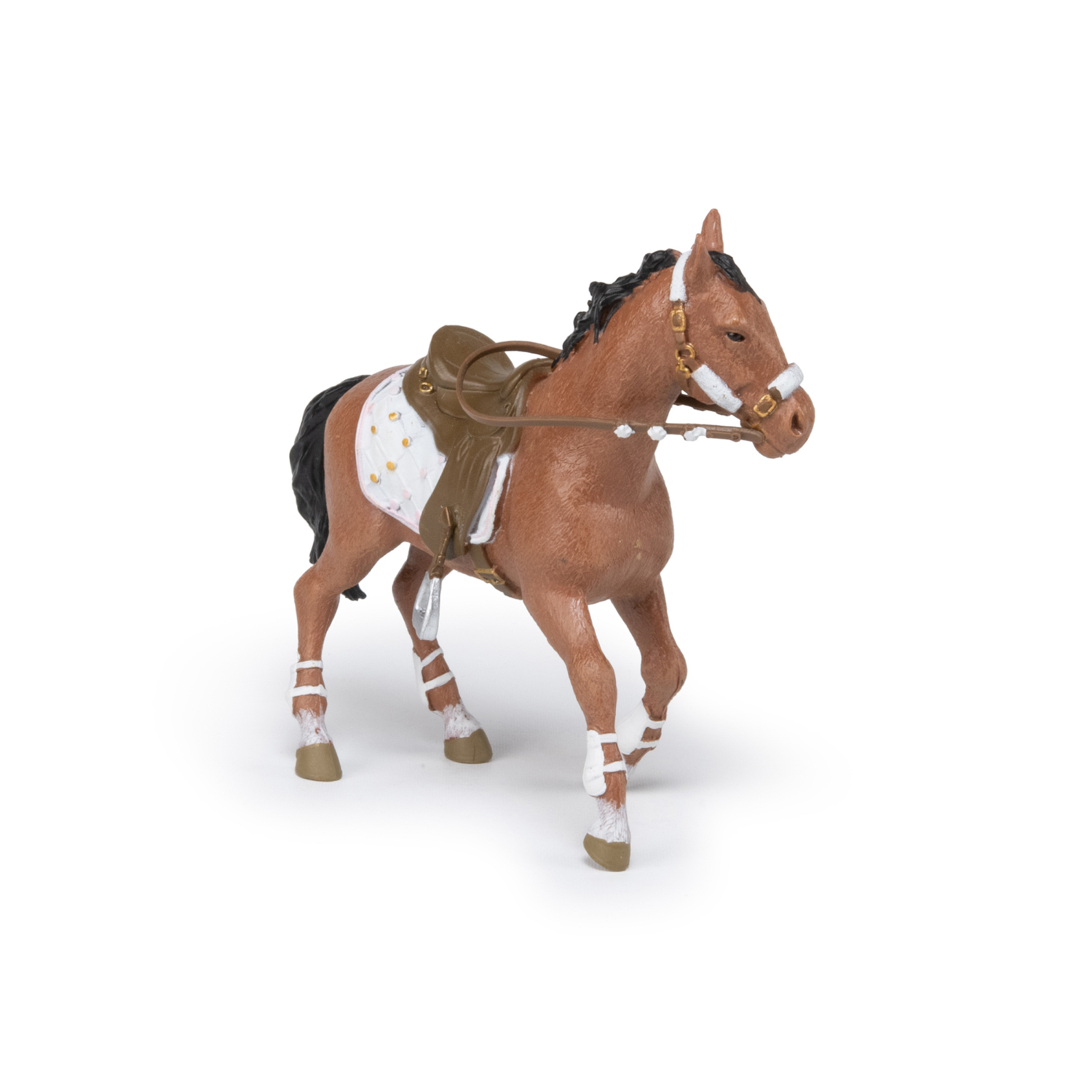 KŮŇ CAVALIER