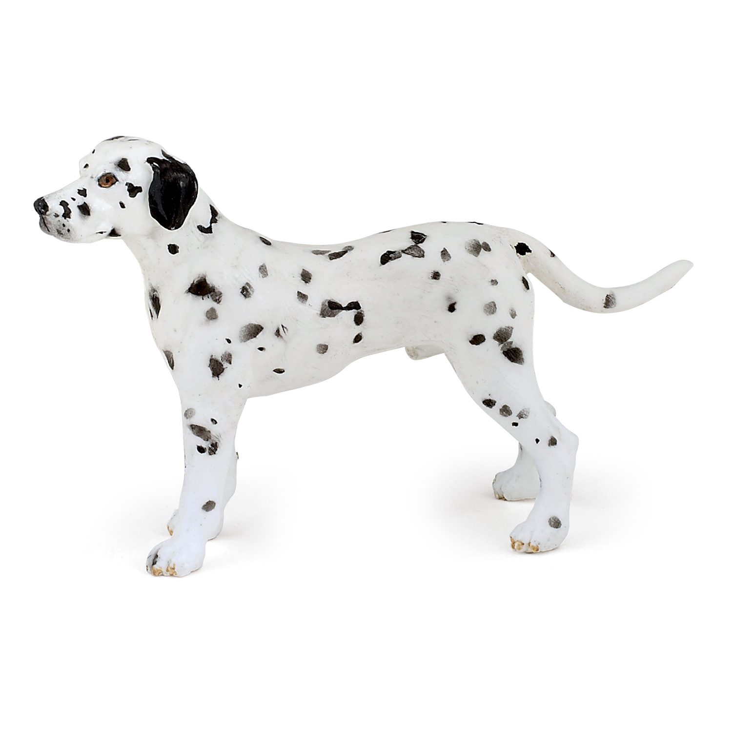 DALMATIAN