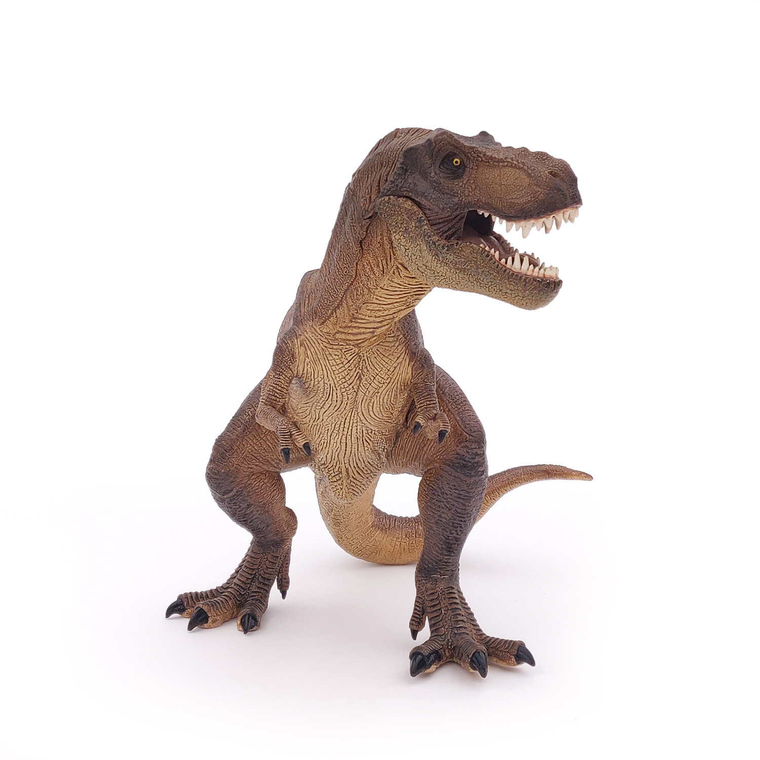 TYRANNOSAURUS