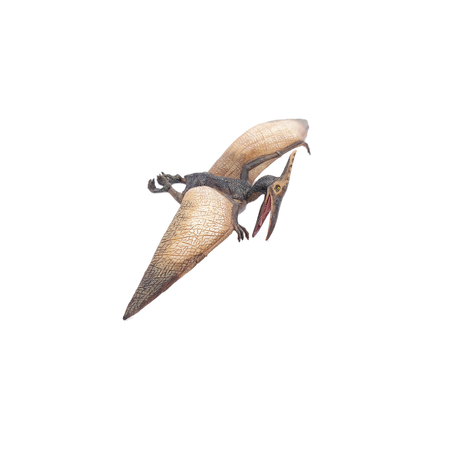 PTERANODON