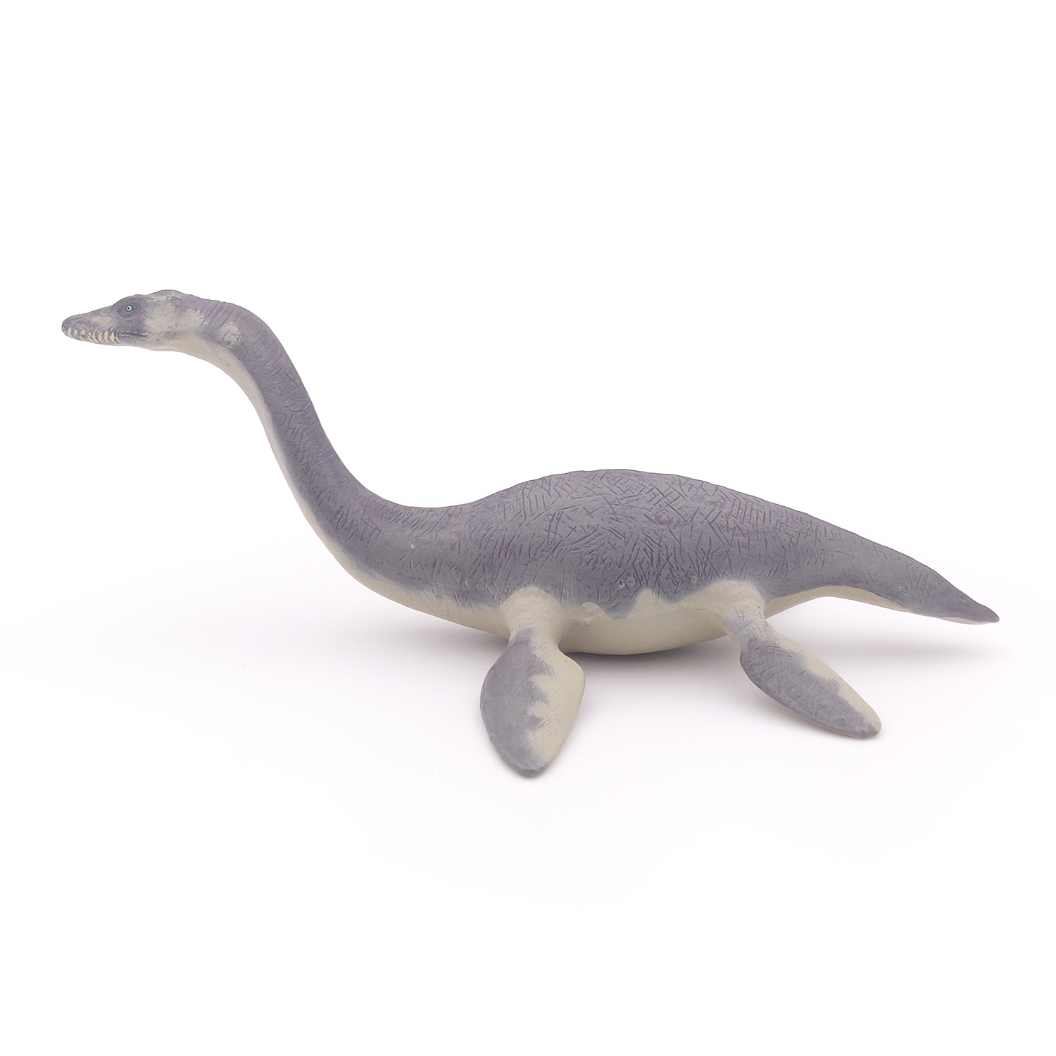 PLESIOSAURUS