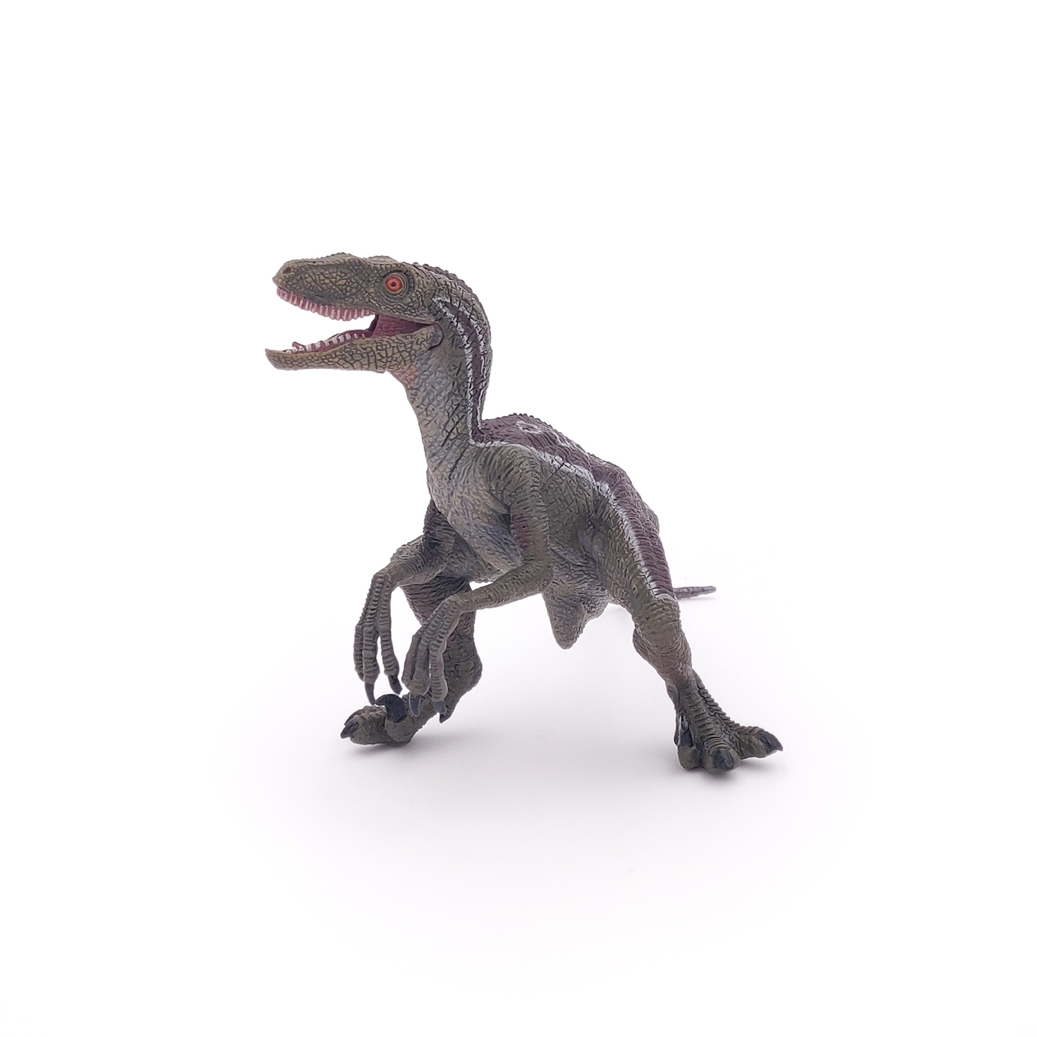 VELOCIRAPTOR NEW