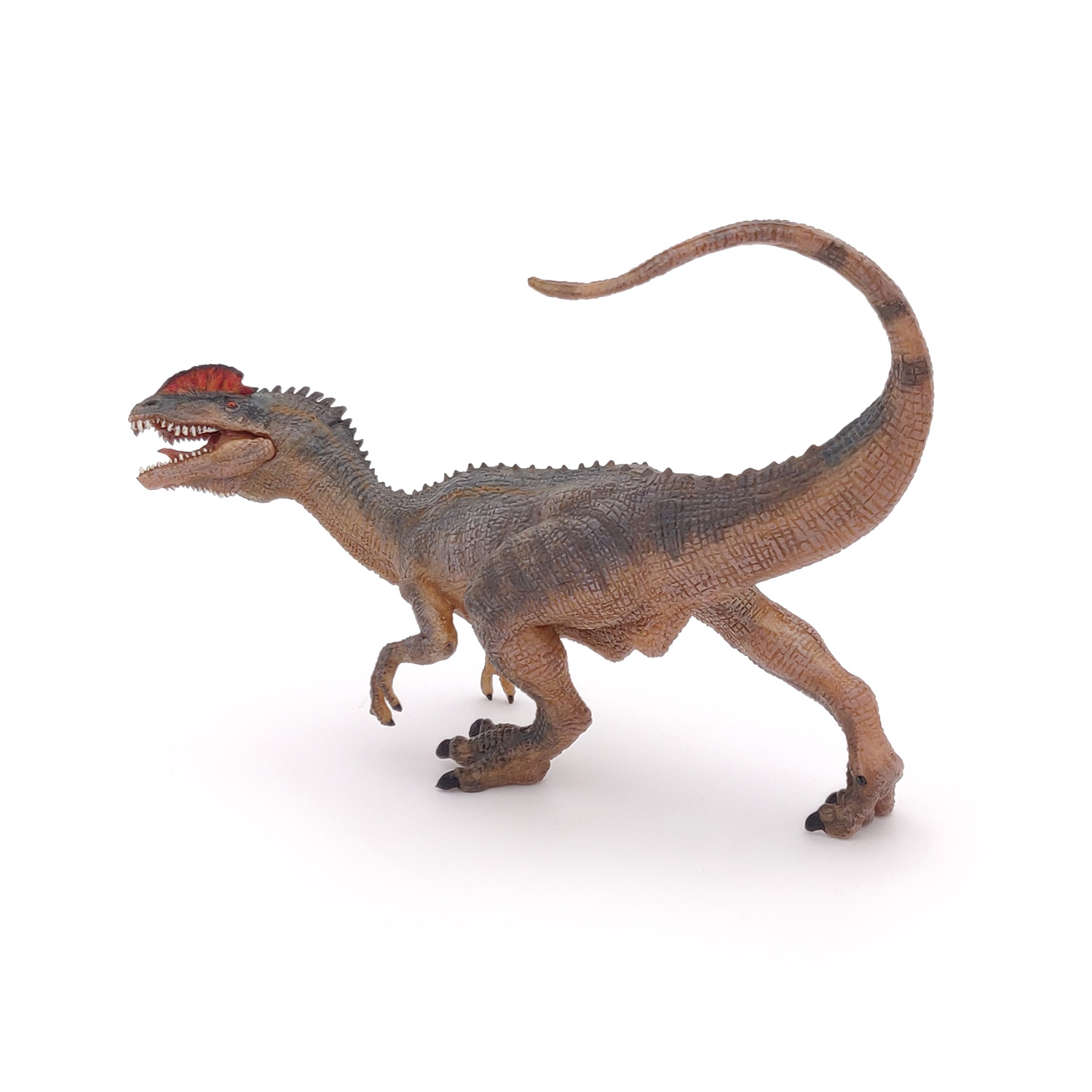 DILOPHOSAURUS