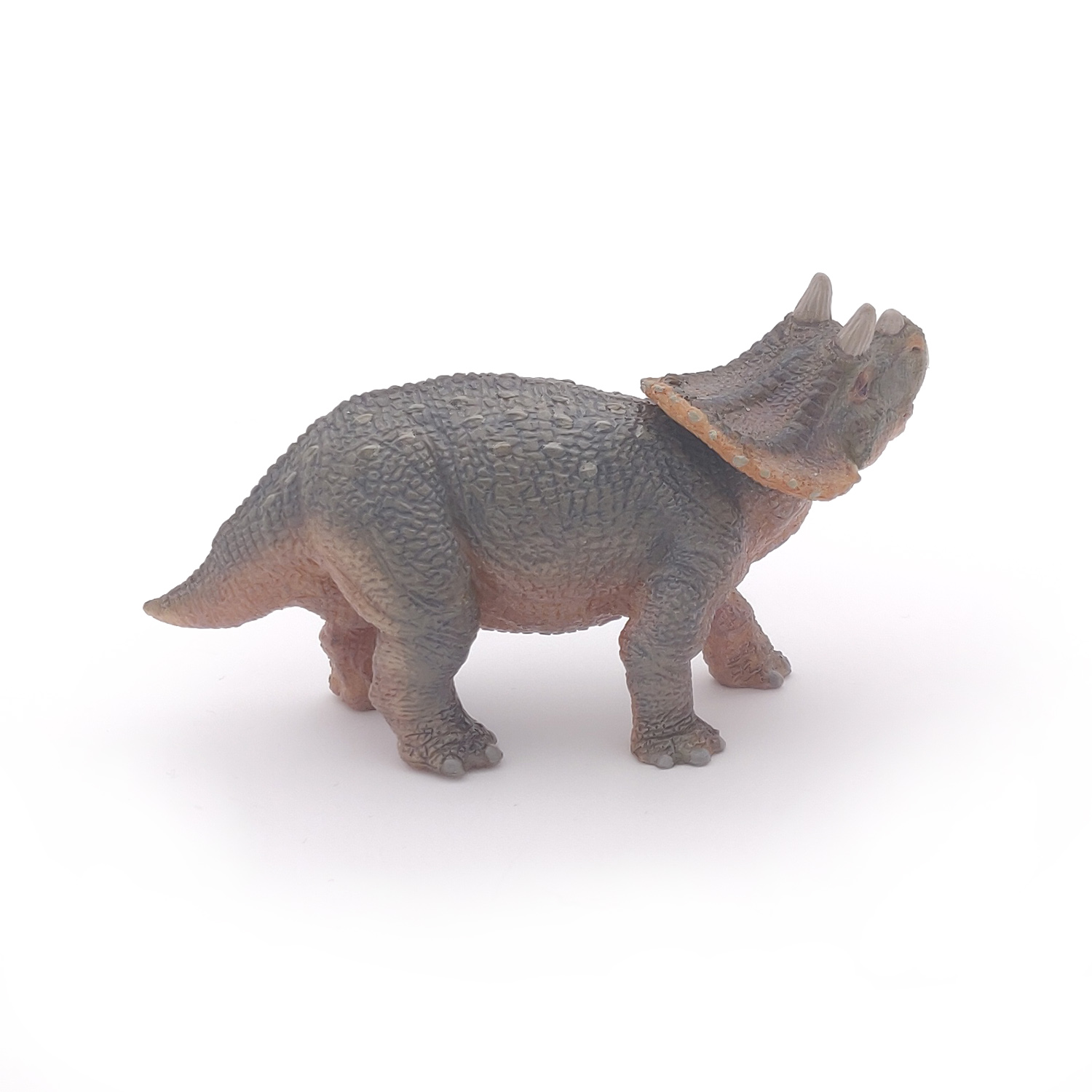 TRICERATOPS MLÁDĚ