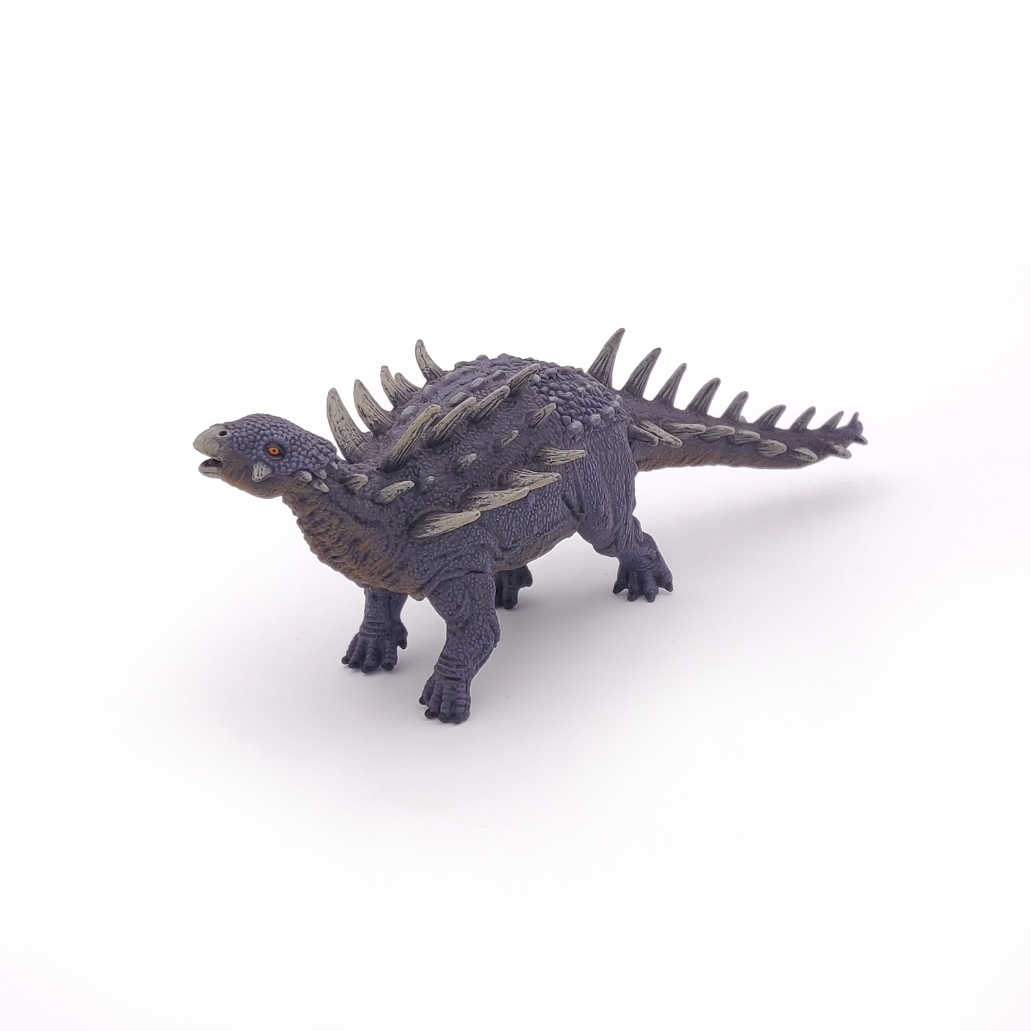 POLACANTHUS