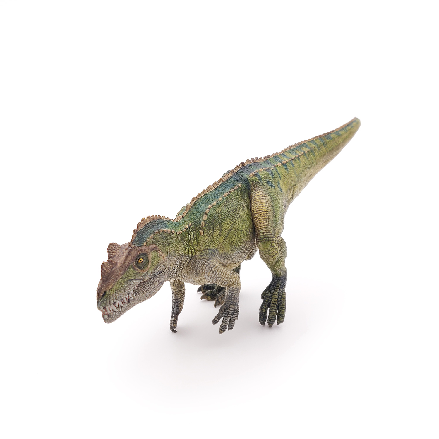 CERETOSAURUS