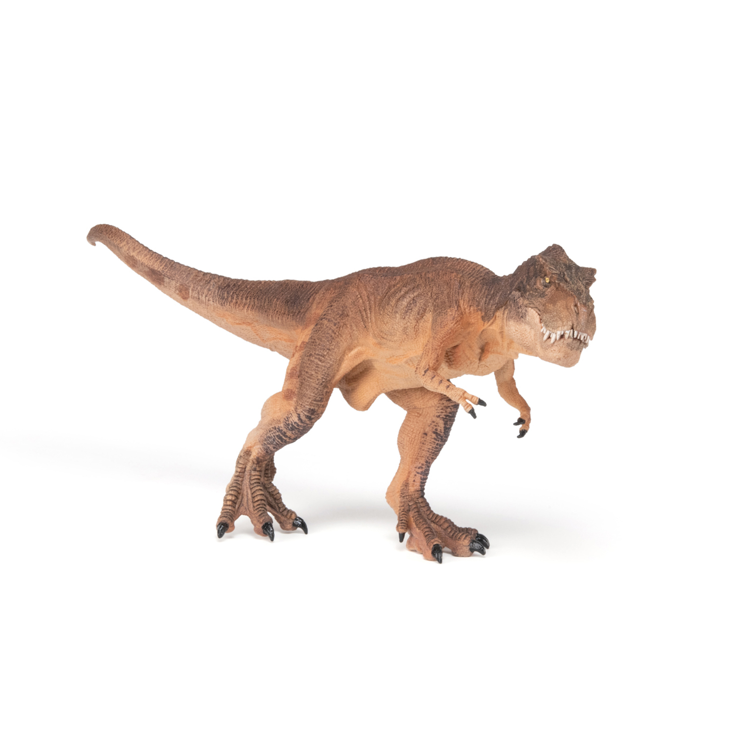T-REX HNĚDÝ, BĚŽÍCÍ