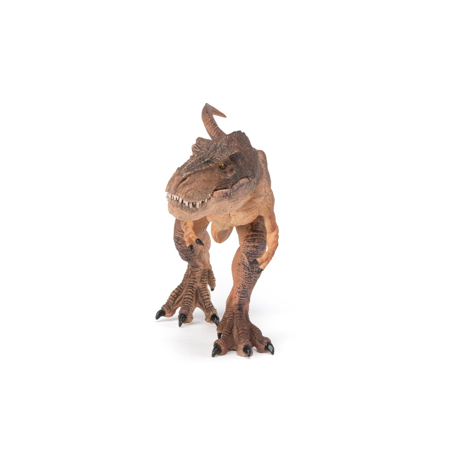 T-REX HNĚDÝ, BĚŽÍCÍ