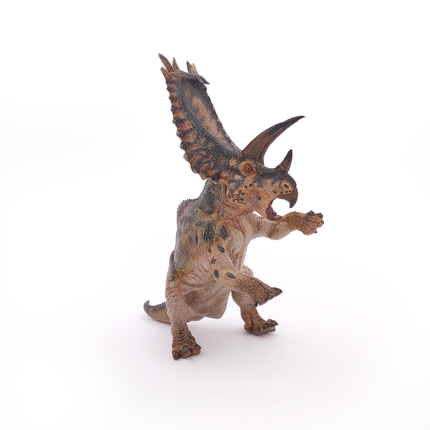 PENTACERATOPS