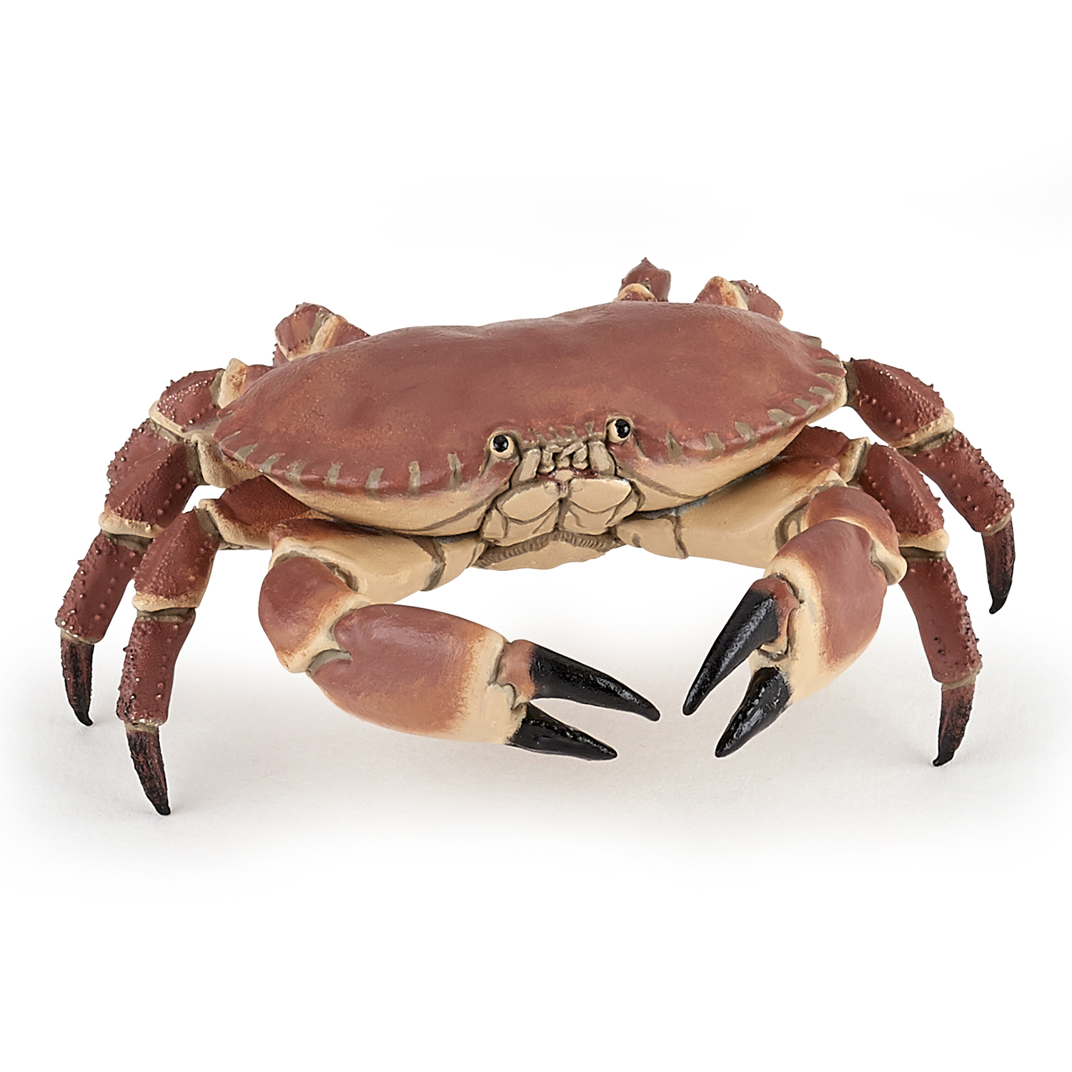KRAB
