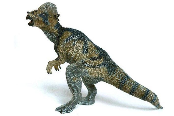 PACHYCEPHALOSAURUS