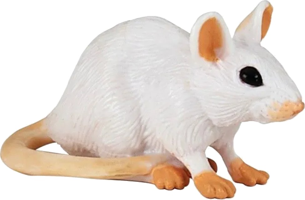 MYŠ BÍLÁ