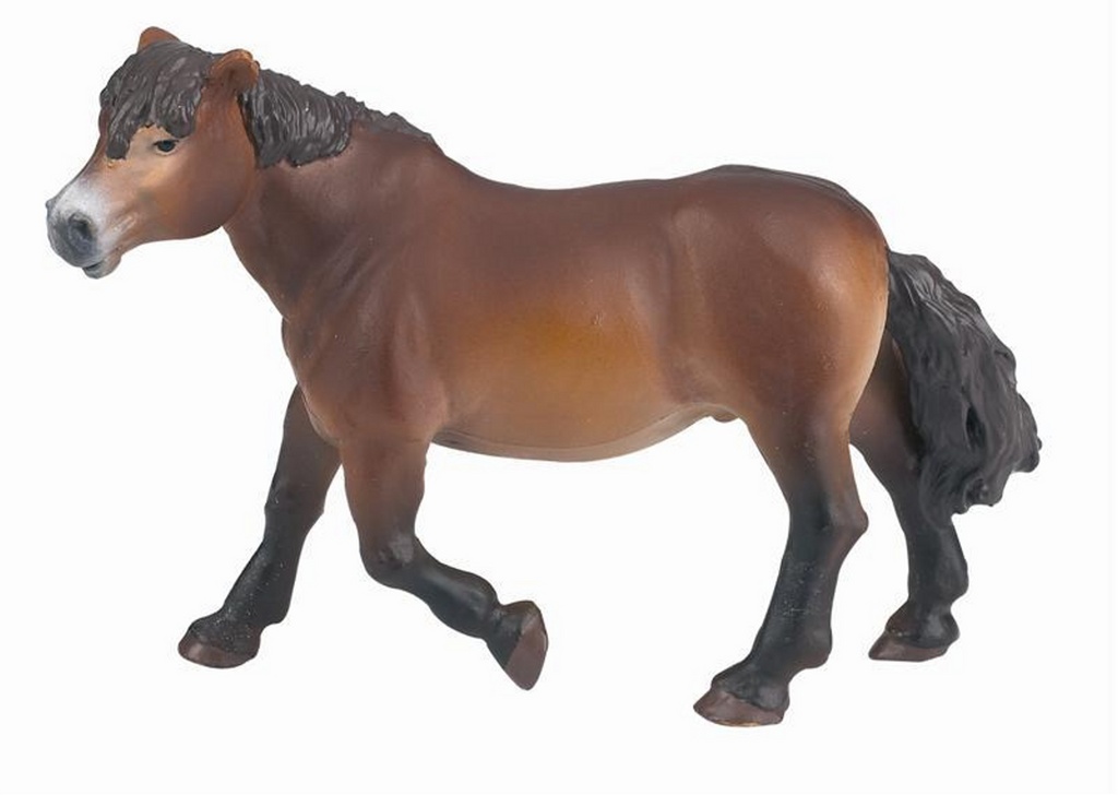 PONÍK EXMOORSKÝ