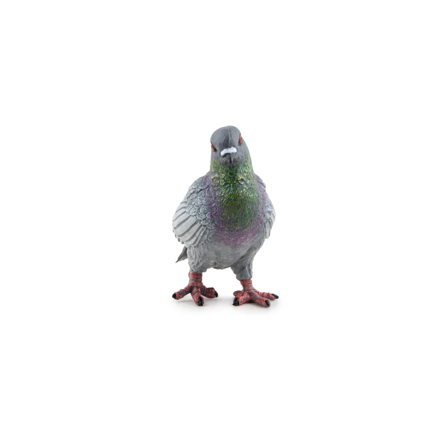 Piegon