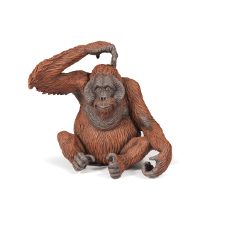 ORANGUTANG