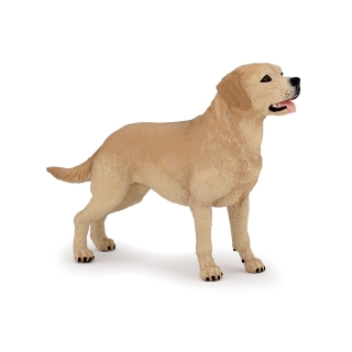 LABRADOR
