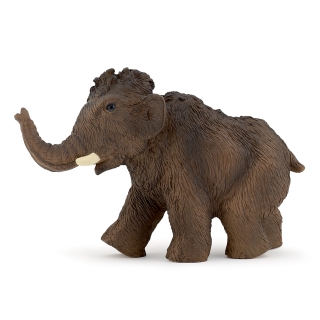 MLADÝ MAMUT