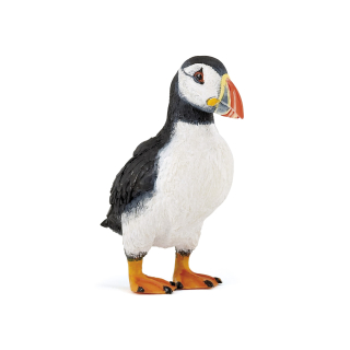 PAPUCHAL