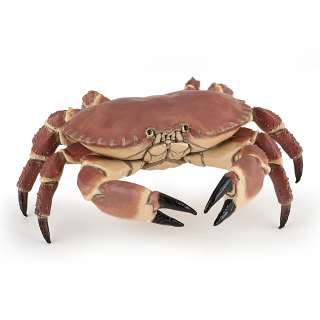 KRAB