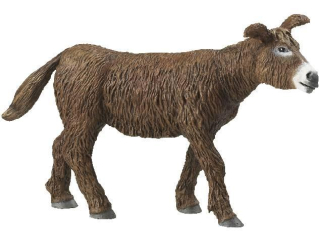 OSEL HNĚDÝ