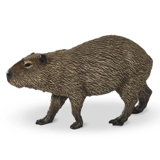 Kapybara