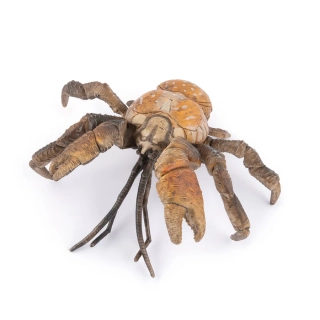 Krab palmový